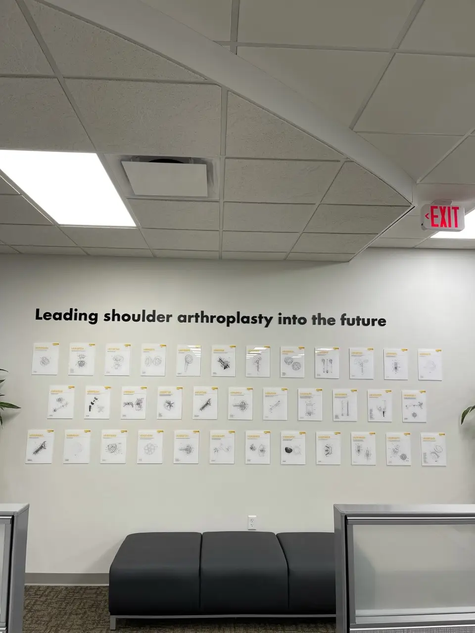 L12 - Patent Display